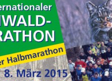 Bienwald-Marathon 2015